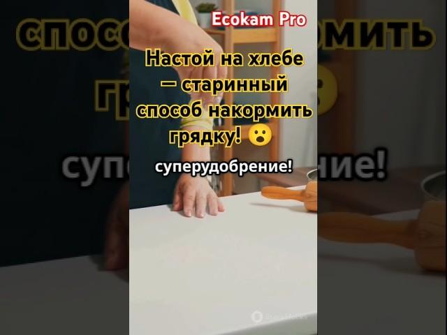 Настой на хлебе — старинный способ накормить грядку!  #огород #удобрения #EcokamPro