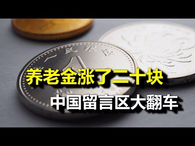 爆笑：养老金涨了20块，中国留言区大翻车（字幕）