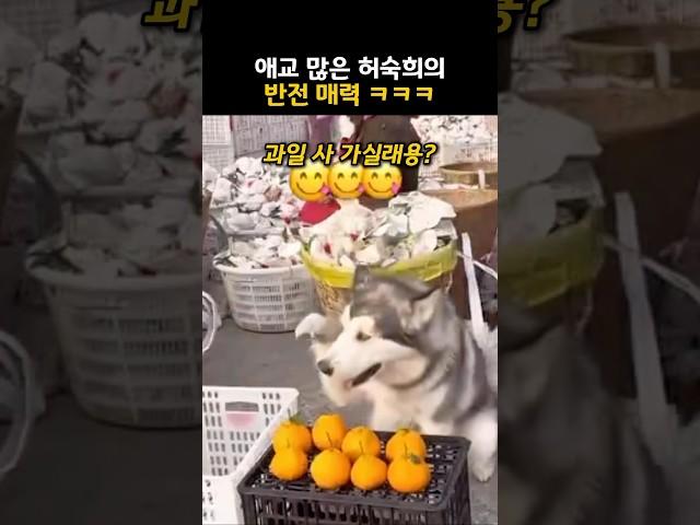 애교 많은 허숙희의 반전 매력 ㅋㅋㅋ