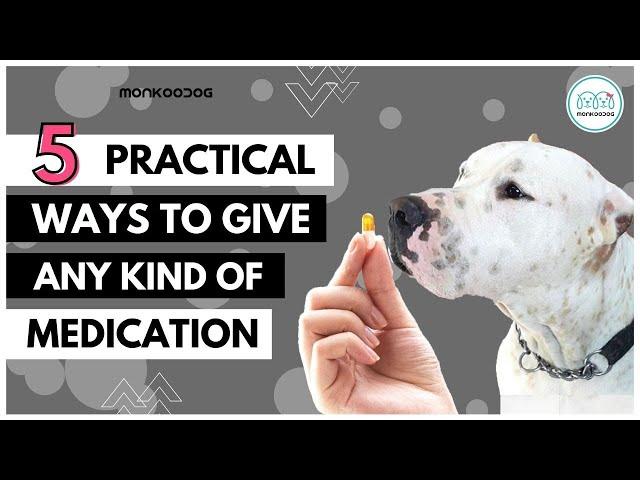 5 Different ways to give pill or capsule to your dog