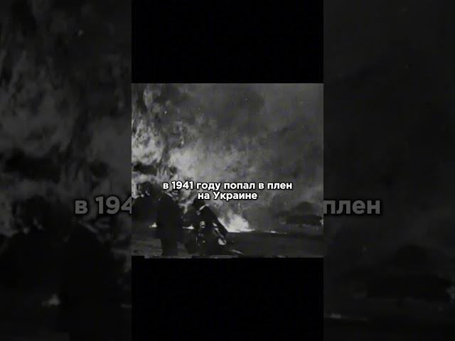 Сергей Михалков - автор гимна СССР. А его брат? Удивительная история: от стихов до службы в СС