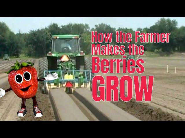 Jammer and Pencilman | Strawberry Farmer Song