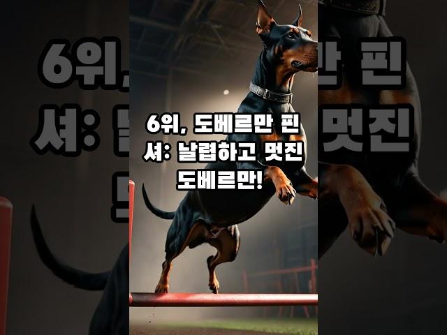 훈련이 쉬운강아지 TOP10 #shorts #강아지 #동물 #반려견