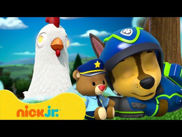 PAW Patrol Pups Have Weird Dreams! #4 w/ Chickaletta | 10 Minutes | Nick Jr.