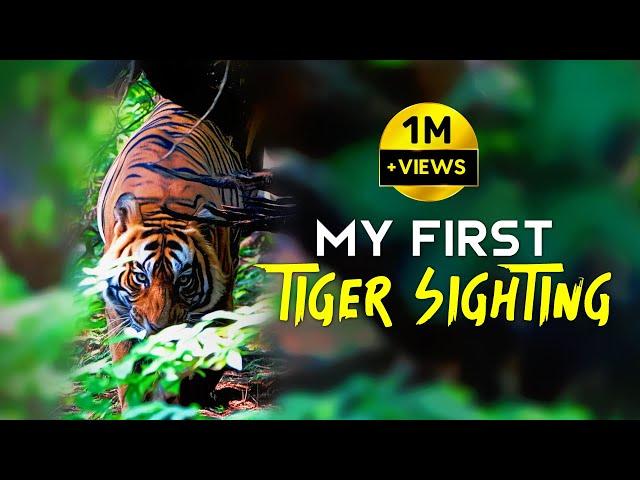 T86 Ranthambore National Park | Tiger Safari - 4K Video Hindi | हिन्दी