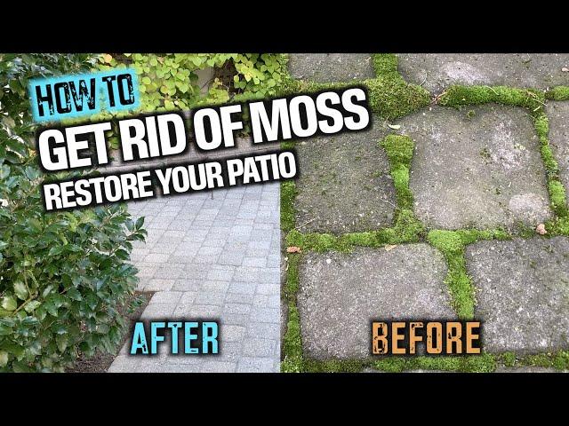 How To Clean Your Patio and Kill Moss - Patio Restored!