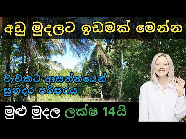 සුන්දර පරිසරයක අඩුවට ඉඩමක් | Land for sale | Land sale sri lanka  | Ikman selling | 2025