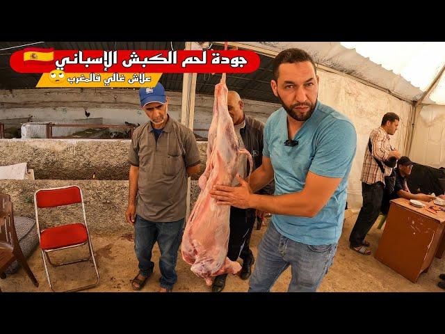 جودة لحم الكبش الإسباني و علاش كيتباع غالي فالمغرب و ثمن البيع بالكيلو في ضيعة زريقة