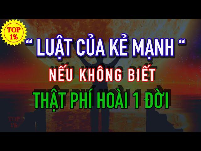 Luật của KẺ MẠNH thực sự, giá như tôi được biết sớm hơn | Mỗi Ngày Tiến Bộ 1%