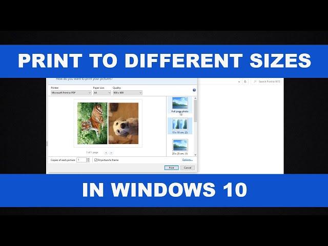 How to Print Photos in Different Sizes in Windows 10