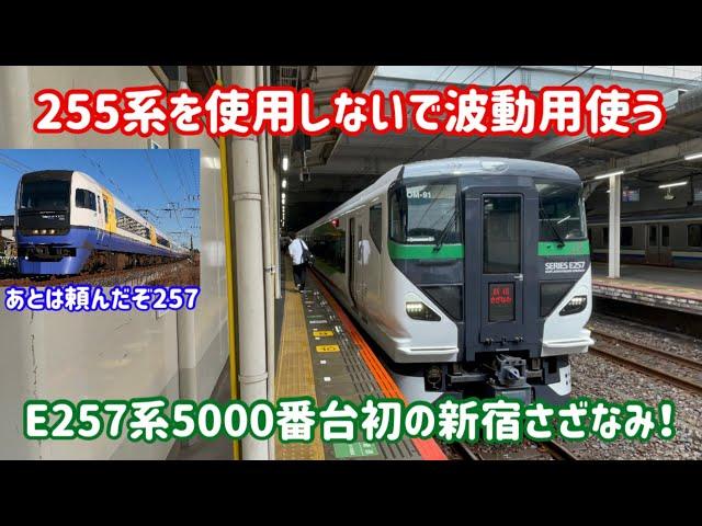 【255系はどこへ？】新宿さざなみに初めて充当されたE257系5000番台