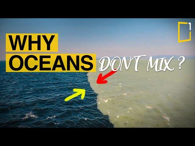 Why do the two oceans not mix ? | Atlantic and Pacific | Gulf of Alaska