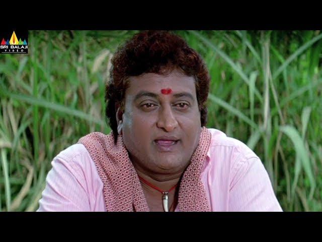 Pruthvi Raj Comedy Scenes Back to Back | Mangatayaru Tiffin Center Movie Comedy | Sri Balaji Video