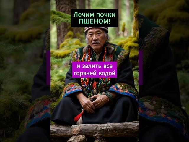 Чистим почки ПШЕНОМ!  #здоровье #народнаямедицина #рецепты