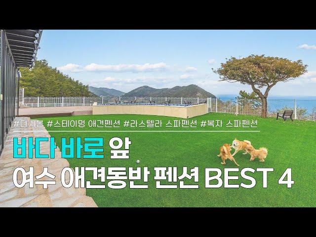 여수 애견동반 펜션 BEST 4 | 여수 바다 바로 앞, 반려동물과 같이 갈 수 있는 오션뷰 펜션 모음 | 다시봄, 스테이멍, 라스텔라 스파펜션, 복자 스파펜션