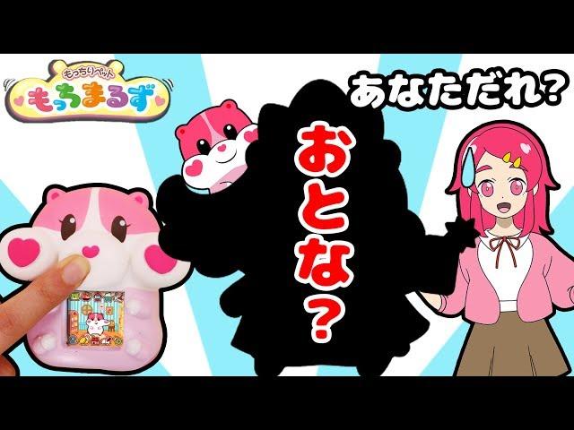 【もっちまるずのお世話は大変！】ハムスター赤ちゃんペットがおとなに成長！？第３弾！ ゲーム スクイーズ感覚 ️アンリルちゃんねる️おもちゃアニメ