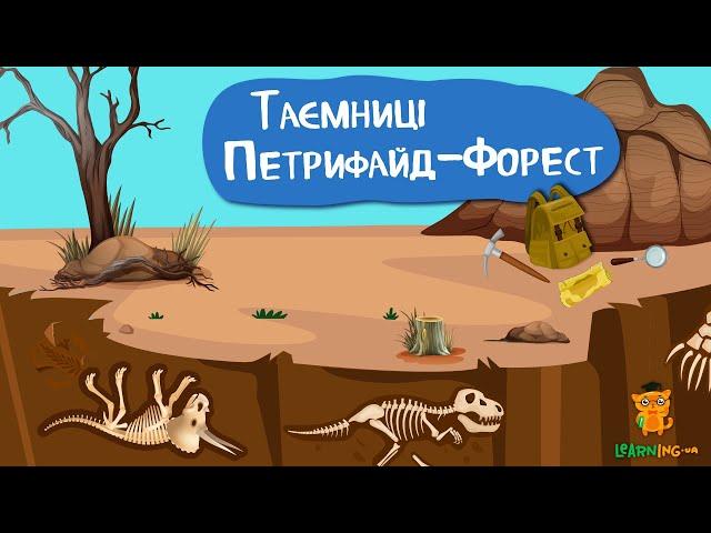 Дива природи. Явища навколо нас. Національний парк «Petrified forest»