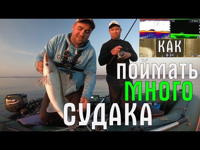 Судак. Осенний ЖОР. Ловля судака на каждом забросе. Как поймать судака? Рыбалка с лодки