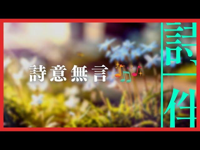 伴眠音樂： 詩意無言 伴您入眠  20230217【詩伴直播】#傳統文化 #中國 #古詩詞 #睡眠#音樂】