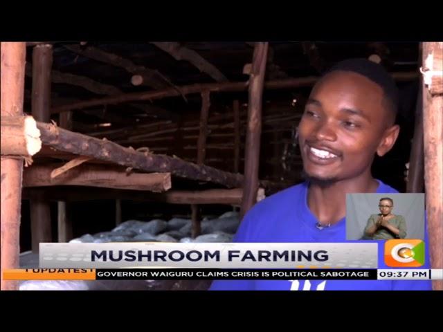 | SMART FARM | Mushroom Farming