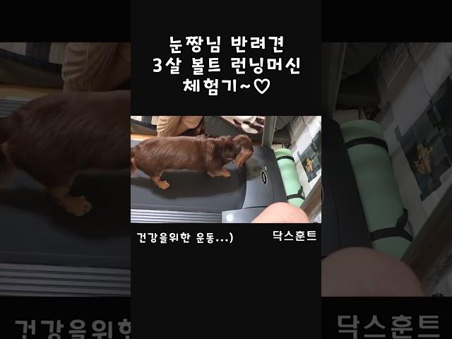 우리 볼트 운동시작 했어요 #왕촌tv팬단톡 #국제커플 #베트남정보소통방