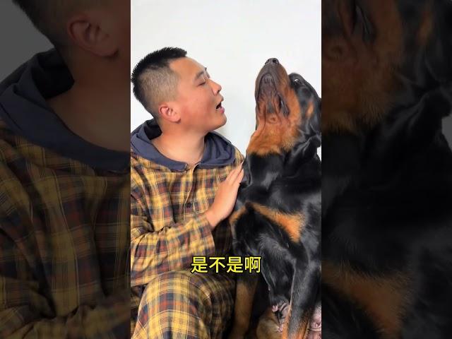 跟我扯 #拉登与阿亮的日常生活