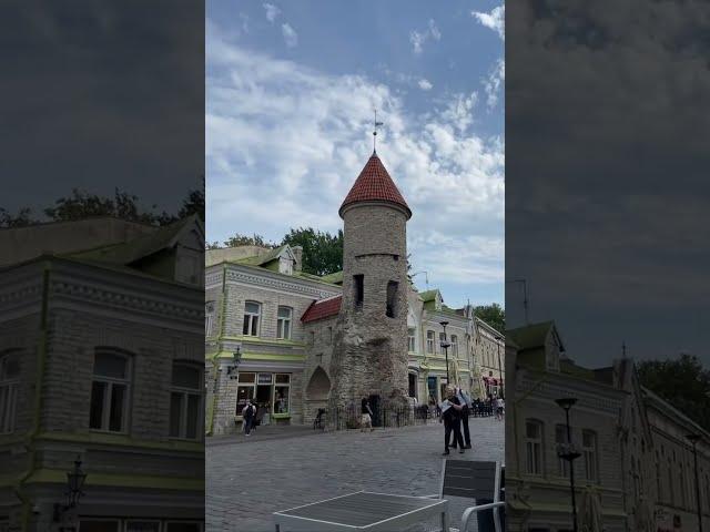 vibey days in Tallinn #estonia #travel #traveleurope