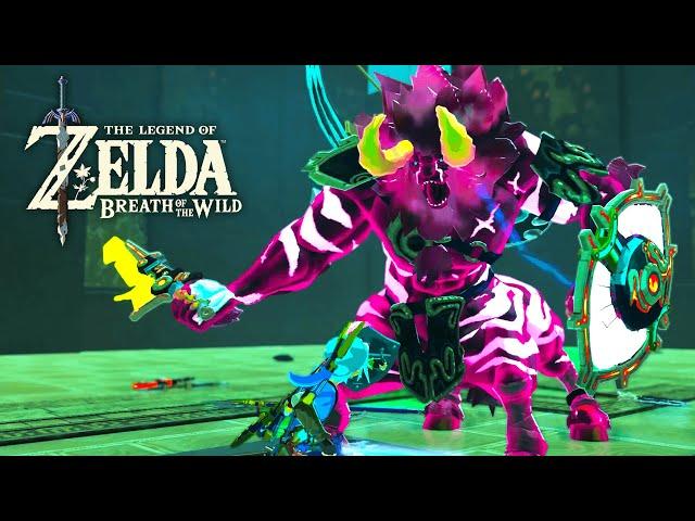 NEW! The Twilight Trial - Zelda Breath of the Wild