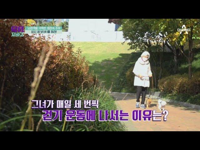 너무나도 평범한 증상들?! 뇌경색 전조증상 | TV 주치의 닥터 지.바.고 372 회