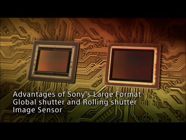 Advantages of Large Format Global Shutter and Rolling Shutter Image Sensor