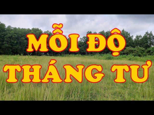 Hồi Ký Miền Nam | MỖI ĐỘ THÁNG TƯ (Trang Y Hạ)