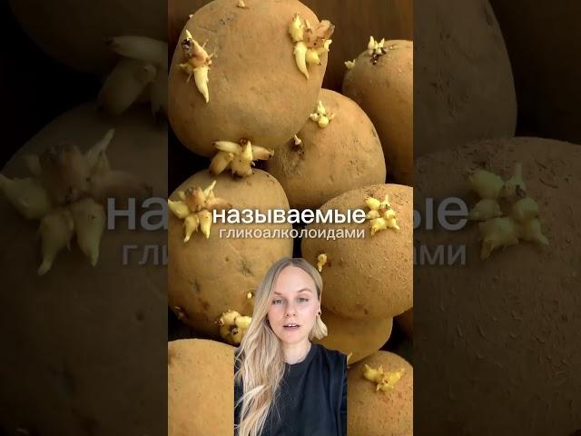 Пророщенные корнеплоды: съедобные или опасные? #shorts