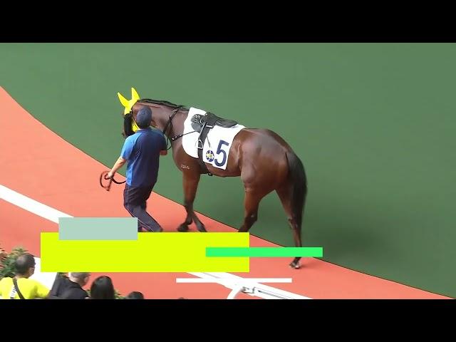 SHA TIN PREVIEW | SUNDAY 13 OCTOBER | RACING PASSPORT