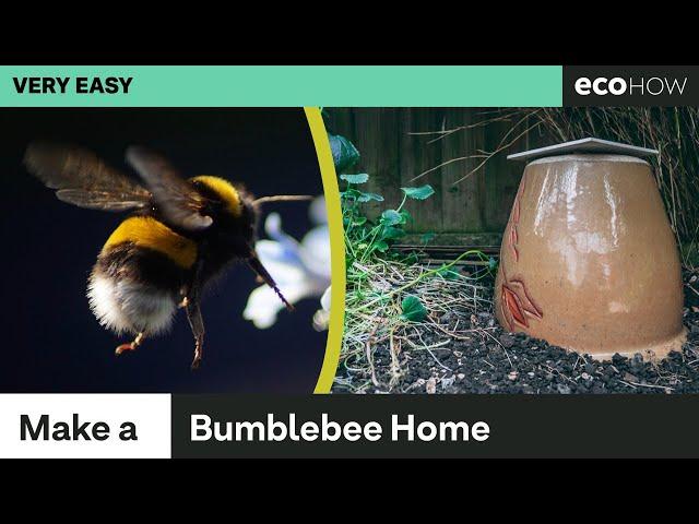 How to make a Bumblebee Home