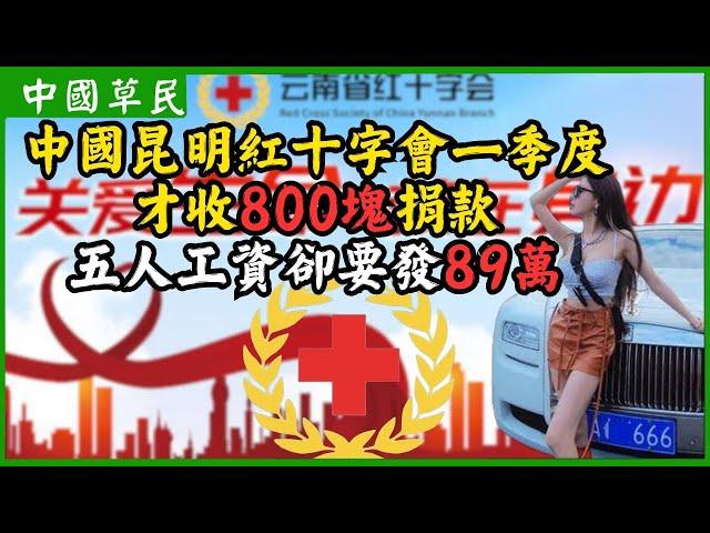 中國昆明紅十字會一季度才收800塊捐款.五人工資卻要發89萬|Reaction video