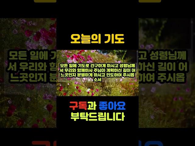오늘의기도 #오늘의기도 #듣는기도 #매일기도 #따라하는기도