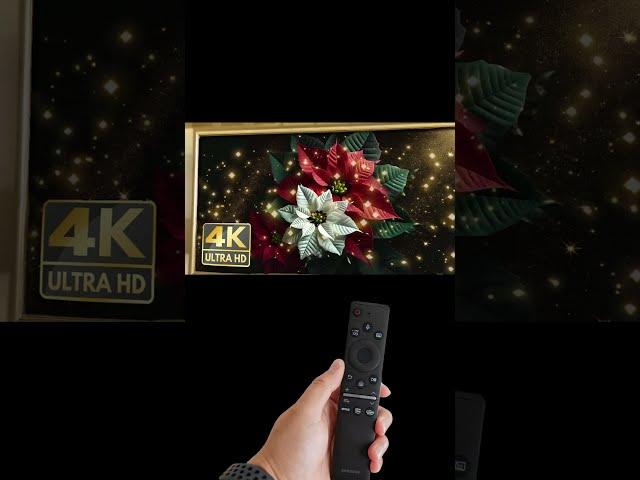 The Art Corner TV 4K