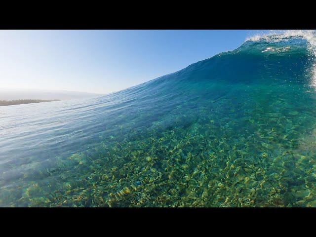 POV SURF : GLASSY & THE CLEAREST REEF EVER ?!