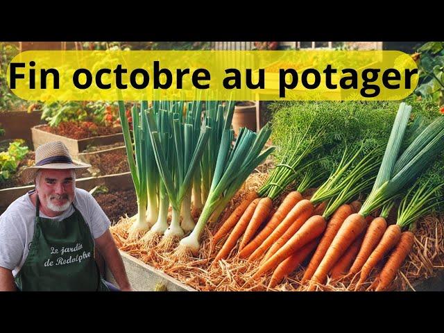 Semaine 44 au potager :  Carottes, poireaux et framboisiers à l'honneur