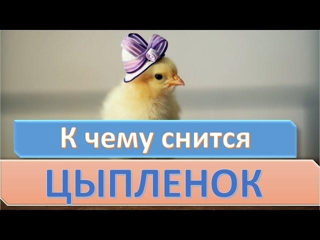 К чему снится ЦЫПЛЕНОК | СОННИК