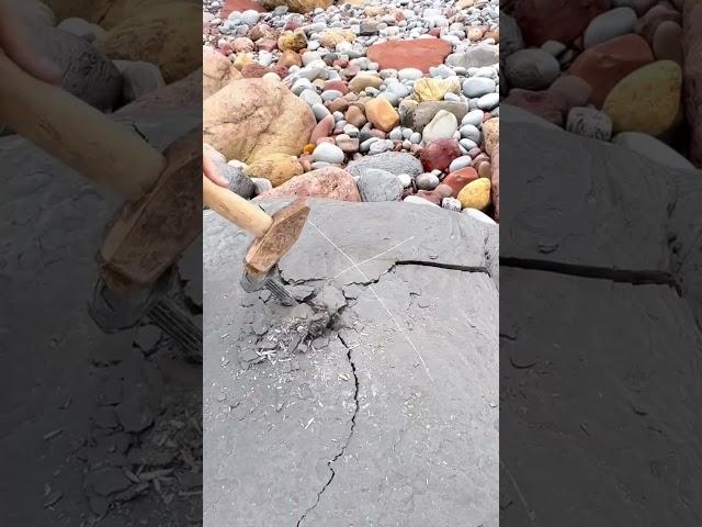 this guy found a 1000 year old rock #shortsvideo