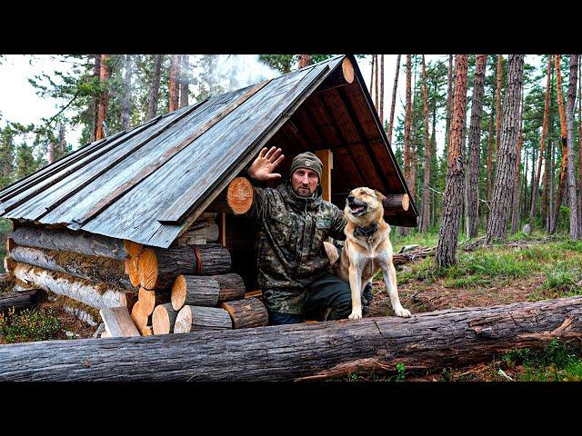 ПОРВАЛ КАРАКАТ В БОЛОТЕ. МЕДВЕДЬ-БОБРОЛОВ. РЫБАЛКА НА РЕЧКЕ. ОСЕННИЙ ХАРИУС.