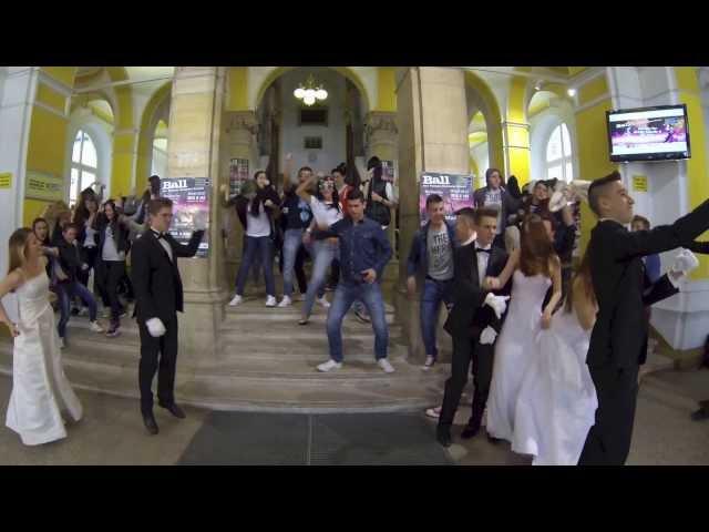 Harlem Shake der Vienna Business School