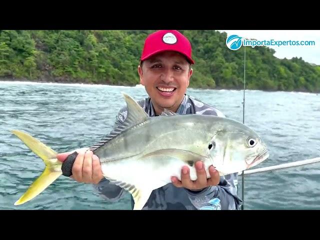 Caña Okuma Silver Slayer Tarpon Spinning y Carrete Okuma Salina Saltwater Spinning