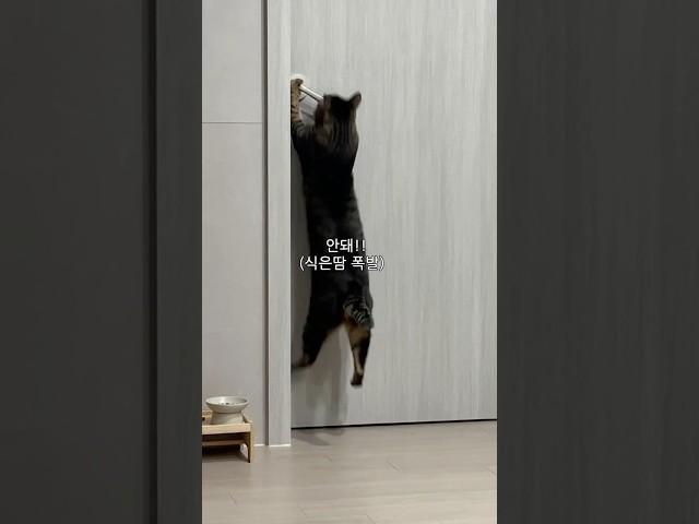 몰래 야식 먹으려다 수명 단축