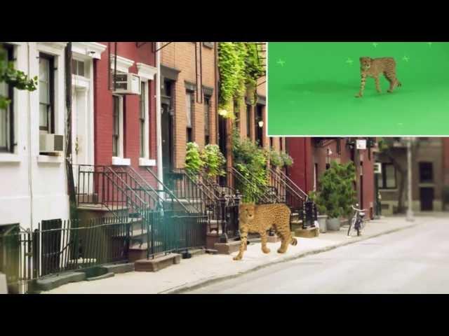 GreenScreen Animals - Behind the Scenes