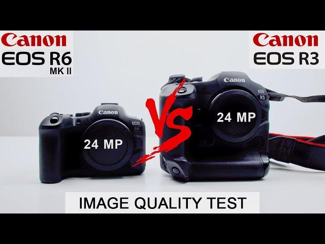 Canon R6 Mark II Vs Canon R3 | The BEST 24 MP CANON CAMERA EVER?