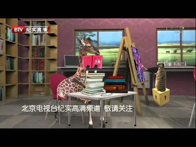 BTV纪实  城堡与国王全五集)01德国传奇瓷堡[高清版]