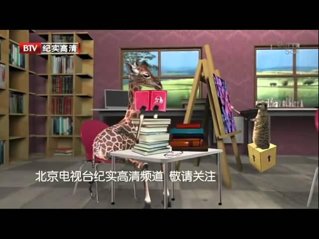 BTV纪实  城堡与国王全五集)01德国传奇瓷堡[高清版]