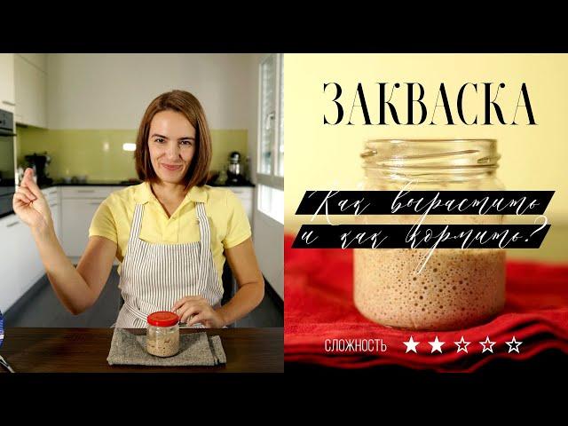 Закваска от А до Я. Все этапы выращивания по дням с подробным рассказом. Закваска 100% влажности.